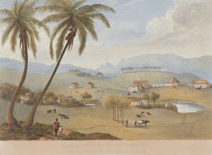 Haughton Court, Hannover, Jamaica [Una de ] de James Hakewill