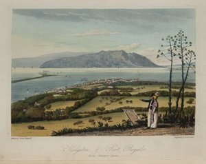 Kingston y Port Royale de James Hakewill