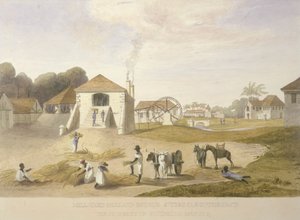 Mill Yard, Holland Estate, Santo Tomás del Este de James Hakewill