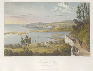 Vista de Montego Bay desde Reading Hill, ilustración de 