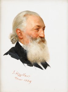 Estudio de un caballero con barba, 1889