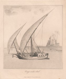 Canja Undersail de James Heath