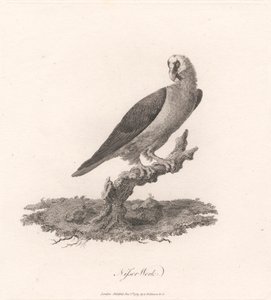 Fábrica Nisser de James Heath