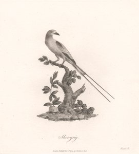 Sheregrig de James Heath