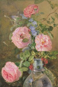 Rosas, convolvulus y delphiniums