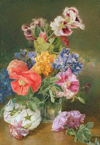 Rosas, amapola y pelargonio de James Holland