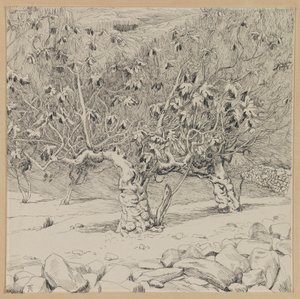 Higuera, Valle de Hinnom, ilustración de La Vida de Nuestro Señor Jesucristo de James Jacques Joseph Tissot