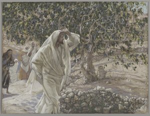 La higuera maldita, ilustración de La vida de Nuestro Señor Jesucristo, 1886-94 de James Jacques Joseph Tissot