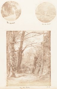 El enfoque, en el bosque, junto al lago, 1853-56