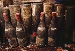Botellas de vino tinto, cubiertas de moho, envejeciendo en una bodega. Tain-L