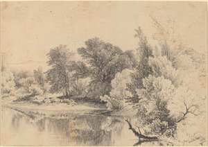 Orilla del estanque