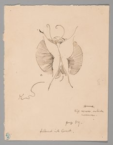 Mariposa (anverso); fragmento de mariposa (reverso)