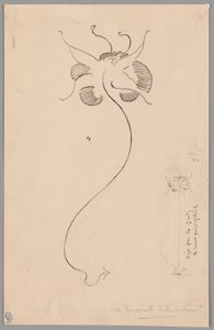 Mariposa (anverso); Estudio de mariposa (reverso)