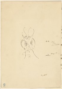 Mariposa
