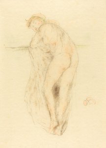 Modelo desnudo, vista trasera