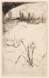 Boceto según "Swan and Iris" de Cecil Lawson