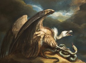 Buitre y serpiente, 1798