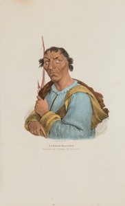 Un célebre jefe otwa, de The Aboriginal Portfolio de James Otto Lewis