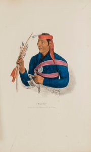 Un jefe de Miami, de The Aboriginal Portfolio