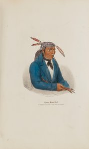 Un joven jefe de Miami, de The Aboriginal Portfolio