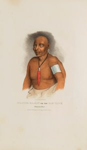 MA-CHE-KA-KAT o el Halcón Malo; Un Jefe Monomonie, de The Aboriginal Portfolio de James Otto Lewis