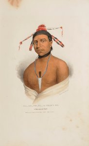 MA-KO-ME-TA o el Aceite del Oso; Un Jefe de Monomonie, de The Aboriginal Portfolio de James Otto Lewis