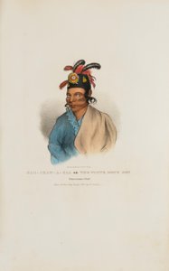 NAH-SHAW-A-GAA El hijo del perro blanco, jefe pottawatomie, de La cartera aborigen de James Otto Lewis