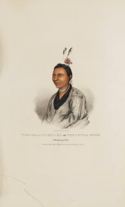 TOO-SHA-NA-GAN-KA o La Pequeña Nutria; Un Jefe Winnebago, de La Cartera Aborigen de James Otto Lewis
