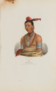 WA-KAUN o la Serpiente; Un Jefe Winnebago, de The Aboriginal Portfolio de James Otto Lewis