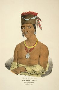 Waa-bin-de-ba o El Águila de Cabeza Blanca de James Otto Lewis