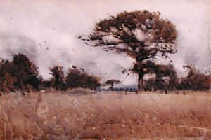 Viento de James Paterson