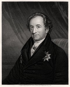 Johann Wolfgang von Goethe, poeta, dramaturgo y científico alemán de James Posselwhite