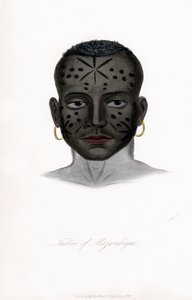 Nativo de Mozambique de James Prichard