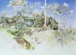 Templo en Ruinas, Tikal, Guatemala, 1984 de James Reeve