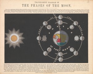 Las fases de la luna de James Reynolds