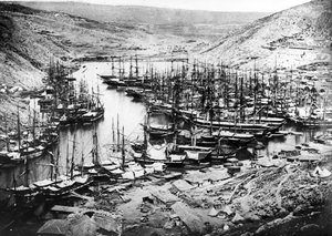 Puerto de Balaklava durante la Guerra de Crimea, c.1855 de James Robertson