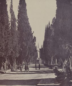 Vista en el Gran Cementerio de Scutari de James Robertson
