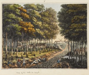 Borde del Bosque de Soignes, de 