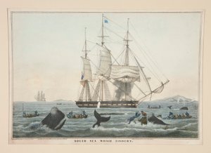 Pesquería de Ballenas del Mar del Sur de James S. Baillie