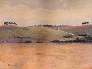 Chobham Common de James S Ogilvy