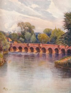 Puente de Leatherhead de James S Ogilvy