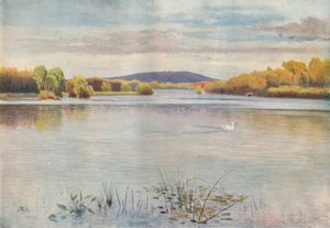 Estanque Vachery, 1911, 1914 de James S Ogilvy