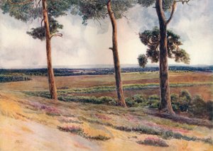 Vista desde Staple Hill, 1911, 1914