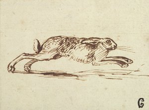 Una Liebre Corriendo, Con las Orejas Echadas Atrás de James Seymour