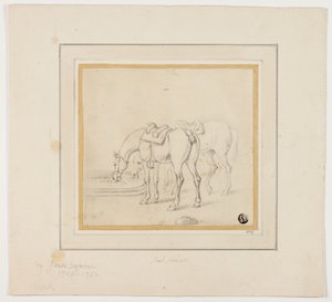 Dos caballos bebiendo