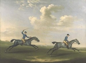 Dos Caballos de Carrera siendo Ejercitados