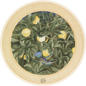 El colibrí de James Smetham