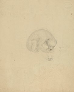 Un Oso de James Sowerby