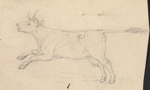 Una vaca