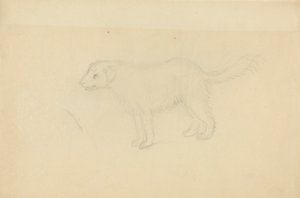 Un perro de James Sowerby